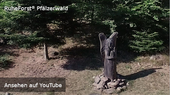 YouTube-Video: RuheForst® Pfälzerwald (Link nach YouTube)