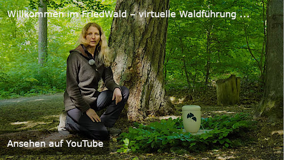 YouTube Video: Willkommen im Friedwald (Link auf YouTube)