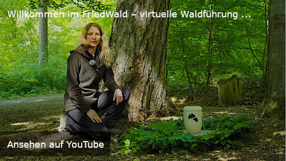 YouTube Video: Willkommen im Friedwald (Link auf YouTube)